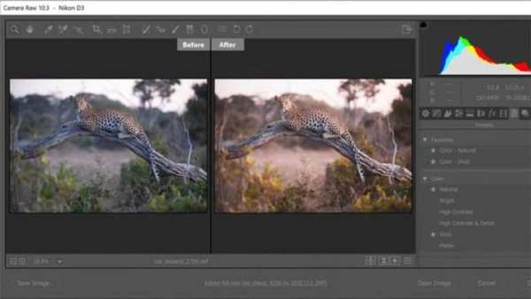 Adobe Photoshop :Photo Editor Collage Maker Guide स्क्रीनशॉट 1