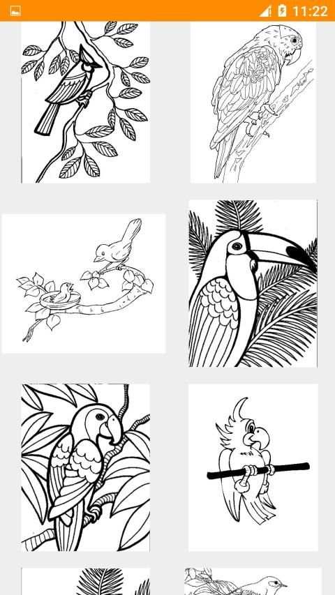 Bird Coloring Book New स्क्रीनशॉट 4