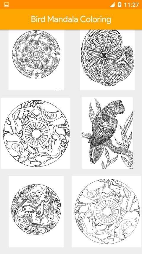 Bird Coloring Book New स्क्रीनशॉट 3