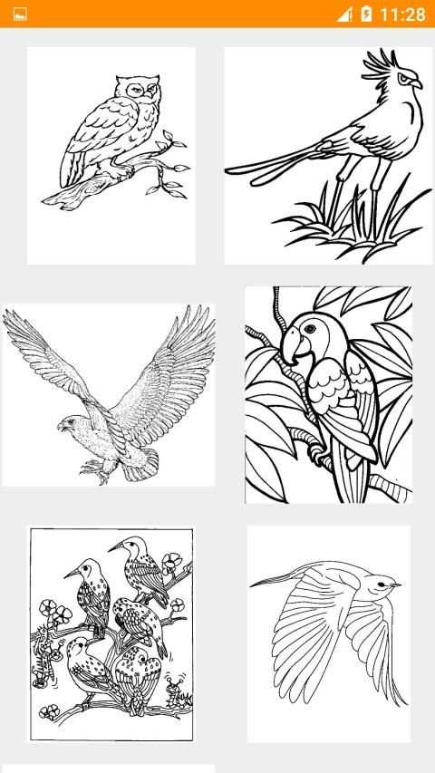 Bird Coloring Book New स्क्रीनशॉट 1