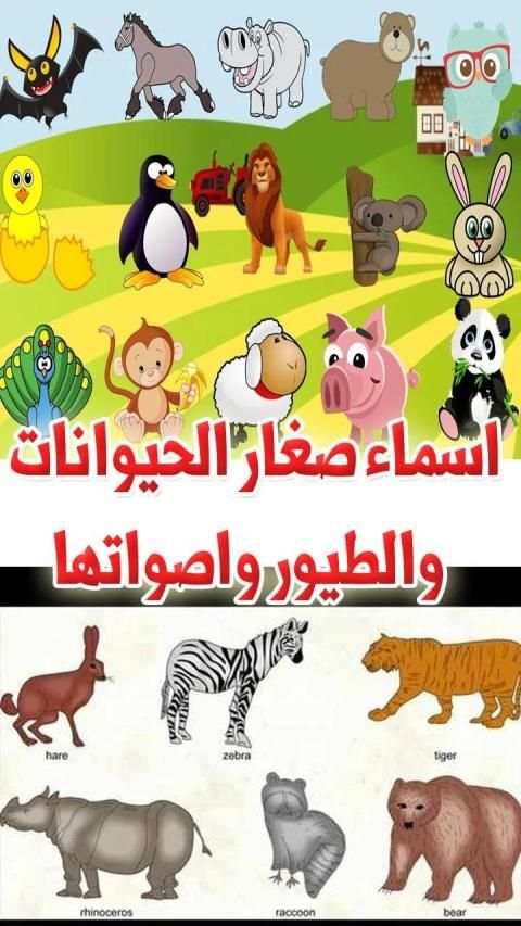 تعرف على أسماء اصوات الحيوانات والطيور وصغارها
‎ screenshot 9