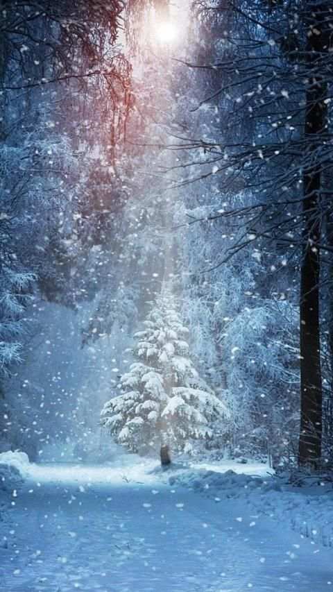 Winter Snow APUS Live Wallpaper screenshot 4