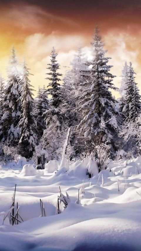 Winter Snow APUS Live Wallpaper screenshot 1