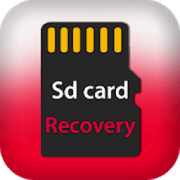 ikon Sd card data Recovery