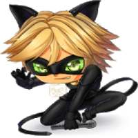*Cat Noir Wallpapers*
