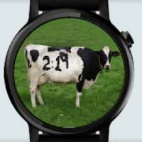 Moo Cow for Android Wear on 9Apps
