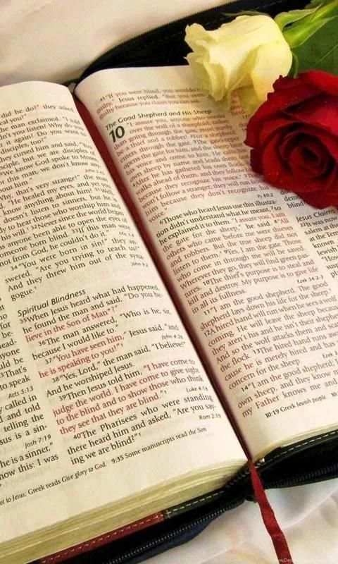 Kirundi Bible Free Kinyarwanda Bibiliya Yera screenshot 2