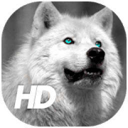 Wolf Wallpaper आइकन