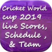 Cricket World Cup 2019 Match And Live Scores