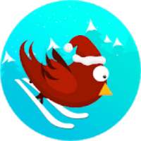 Snow Birds: Xmas Santa Games