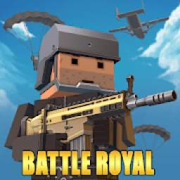 Pixel Battle Ground Royale: Apex of Unknown