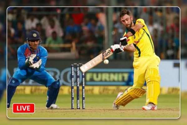 Cricket World Cup 2019 : Live Cricket TV screenshot 2