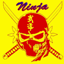 Ninja 2 आइकन