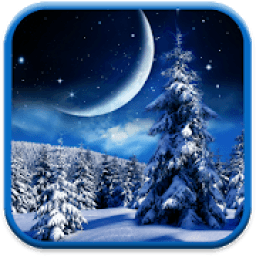 ikon Winter Night Wallpaper