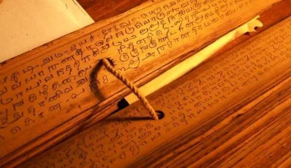 Nadi Jothidam Tamil Kai Regai josiyam palm reading screenshot 1