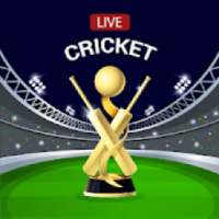 Live Cricket Score for IPL