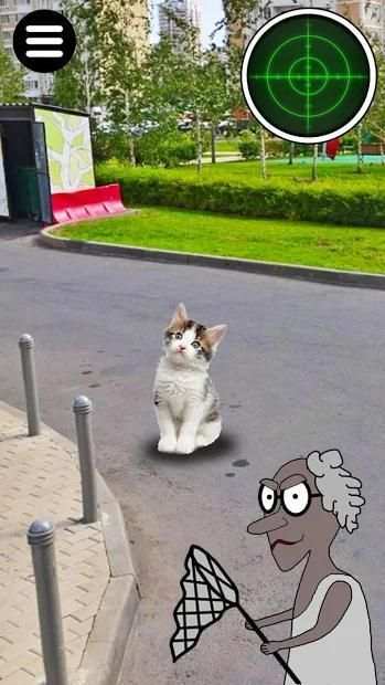 Granny GO: Catch cats screenshot 4