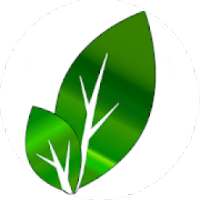 Adiel Weed Plants Identification on 9Apps