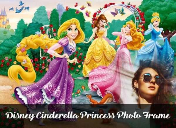 Cinderella Princess Photo Frame, Disney Cinderella screenshot 1