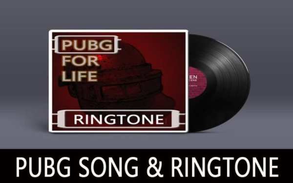 Lagu Pubg Mp3 Offline screenshot 2
