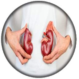 Repair Your Kidneys Naturally