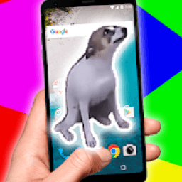 Dance Till You're Dead on The Screen icon