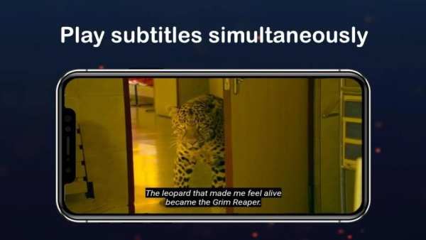 HD Video Player All Format screenshot 5