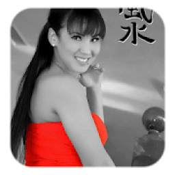 Siham Japonia 1.1.1