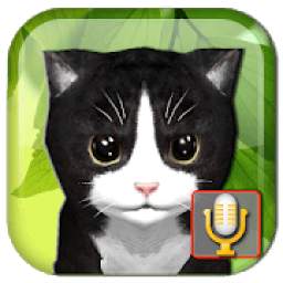 Talking Kittens virtual cat that speaks, take care