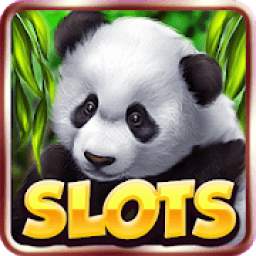 Slot Machine : Free Panda Slots