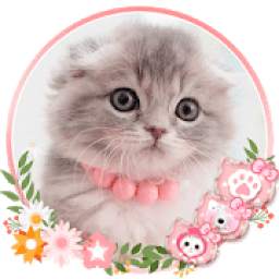 *Cute Kitty Cat Launcher Theme Live HD Wallpapers