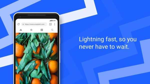 Delta Browser स्क्रीनशॉट 1