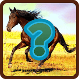 Tebak gambar 2020 icon