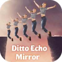 Echo : magic mirror : auto cut paste bg changer