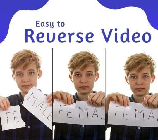 Reverse Video Maker - HD Effects screenshot 4