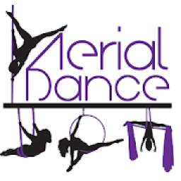 Aerial Dance Pole Exercise