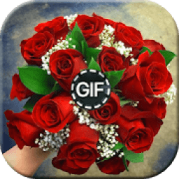 Images de fleurs 2019 icon