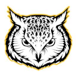 Owl VPN Free - Internet Freedom, Privacy & Safety