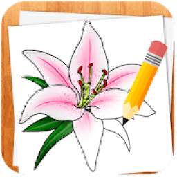 How to Draw Flowers