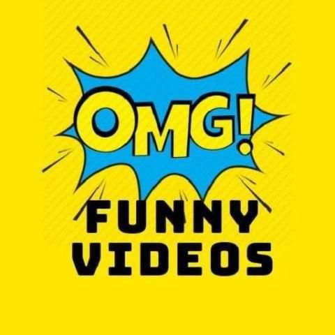 Funny Videos screenshot 7
