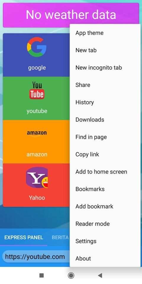Web Browser screenshot 1