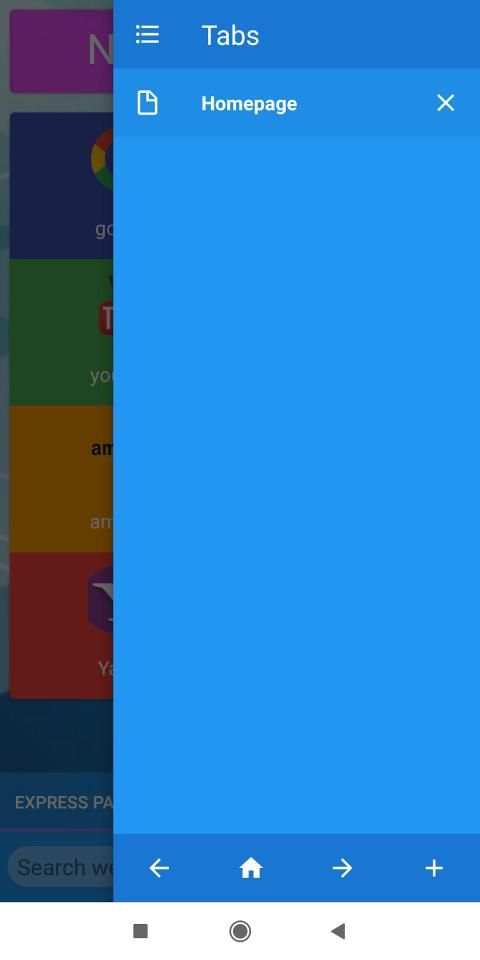 Web Browser screenshot 5