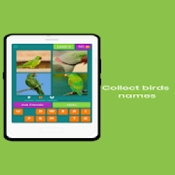 ikon Collect birds names