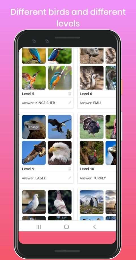 Collect birds names screenshot 3