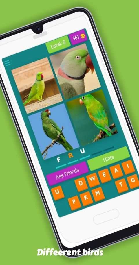 Collect birds names screenshot 2