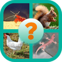 Kuis Tebak Nama Hewan icon