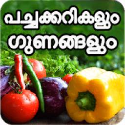 All Vegetables Names And Its Benefits In Malayalam