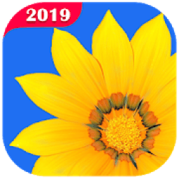 Photo Gallery icon