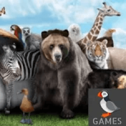 Matching images Memory test आइकन