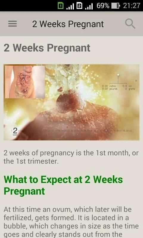 Pregnancy week by week. Expecting baby. Diary screenshot 1